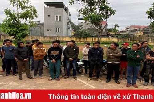 Bắt quả tang 29 đối tượng đánh bạc dưới hình thức đá gà tại huyện Triệu Sơn