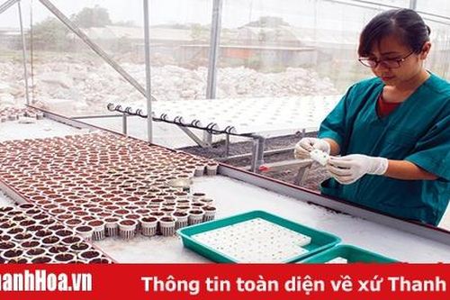 Nâng cao chất lượng nguồn nhân lực trong sản xuất nông nghiệp