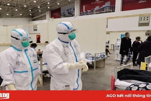 Chuyên gia quốc tế họp tại Trung Quốc bàn cách ứng phó dịch COVID-19