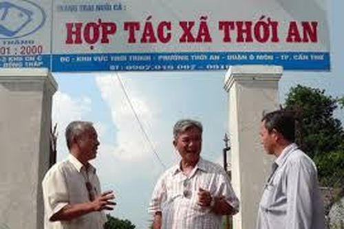 Những tồn tại, vướng mắc của quá trình thực thi pháp luật về chuyển đổi hợp tác xã sang loại hình doanh nghiệp