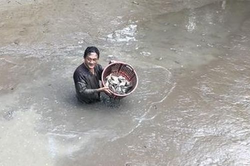 Người dân gồng sức chống hạn mặn vượt mức lịch sử