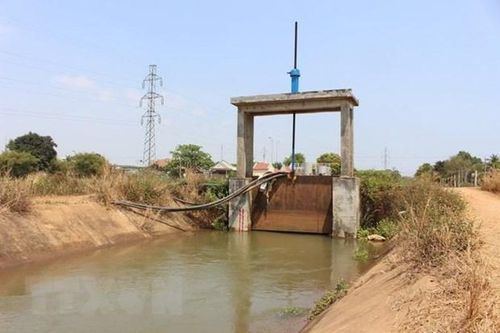 Hà Nội còn 5.883ha sản xuất nông nghiệp chưa có nước gieo cấy