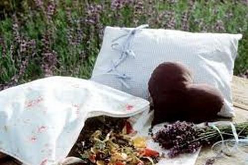 Gối thuốc cho người tăng huyết áp, đau đầu