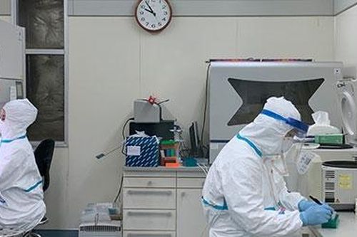 Hành trình giải mã virus Corona
