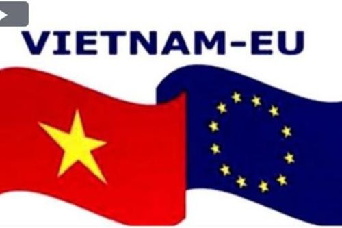 Ngành nông nghiệp có thể tăng xuất khẩu thêm trên 1 tỷ USD nhờ EVFTA