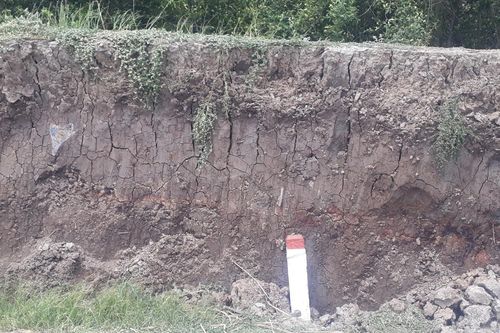 Sụt lún trên 100 m đê biển Tây ở Cà Mau