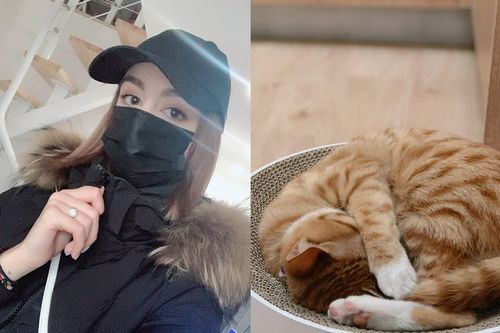 Cô gái ở lại tâm dịch Vũ Hán vì không muốn bỏ lại mèo cưng