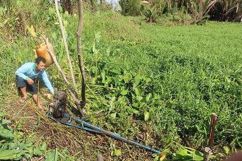 Long An dồn sức chống hạn, xâm nhập mặn