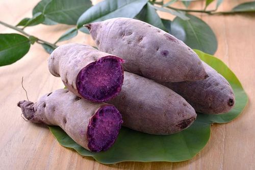 Ăn gì tăng cường khả năng miễn dịch trong thời điểm dịch bệnh hoành hành?