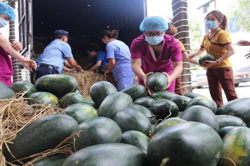 'Tắc biên', người dân Hà Nội được dịp thưởng thức đặc sản giá rẻ
