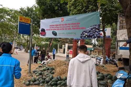 Tuổi trẻ Bình Định tham gia 'giải cứu' dưa hấu trong mùa dịch