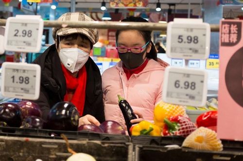 Linh hoạt và chuyển hướng, tìm đường thoát khỏi biến cố Covid-19
