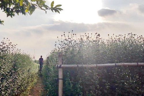 Chồng ngoại tình để lại 'hậu quả' còn trách vợ không biết giữ gia đình