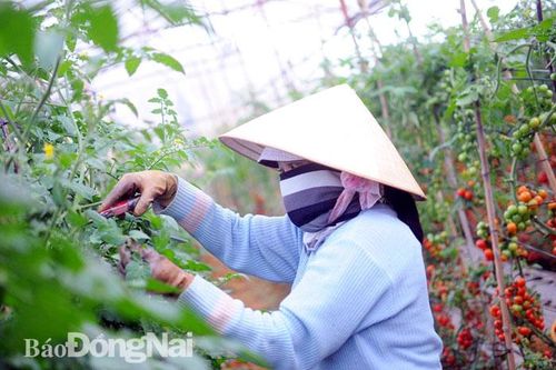 Khơi thông chính sách hỗ trợ doanh nghiệp