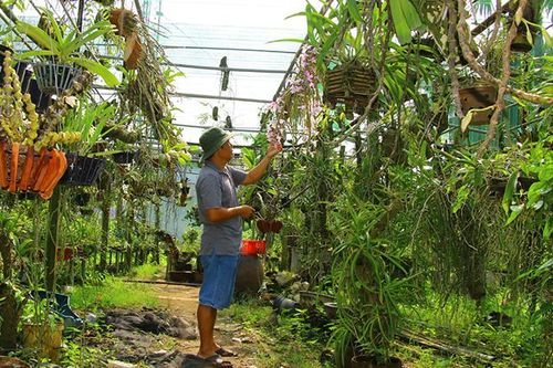 Ông thợ nhiếp ảnh đam mê sưu tầm lan rừng