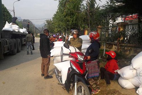Bắc Hà: 42 hộ đồng bào dân tộc thiểu số được hỗ trợ gạo từ dự án trồng rừng thay thế nương rẫy