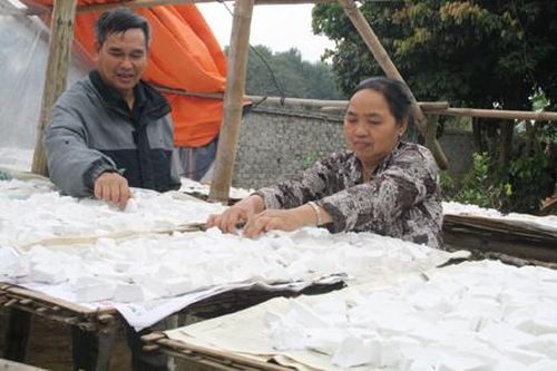 Liên kết để gây dựng thương hiệu tinh bột sắn dây Đông Sơn