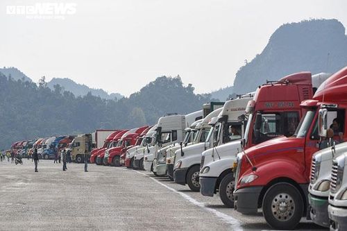 Nông sản đổ dồn lên cửa khẩu, Bộ Công Thương đề nghị rà soát