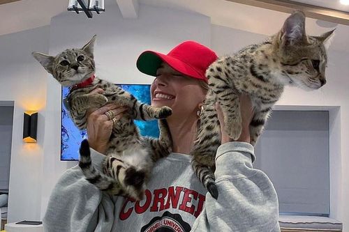 Biệt thự 8,5 triệu USD nuôi nhiều mèo của vợ chồng Justin Bieber