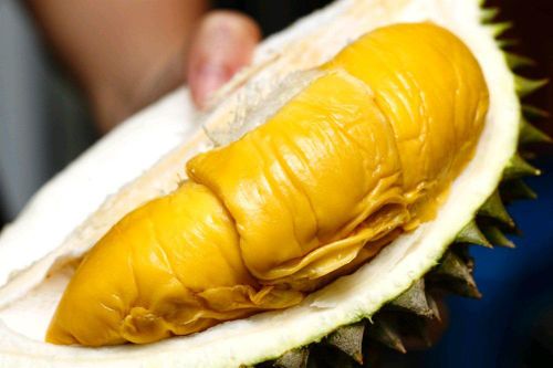 Thị trường sầu riêng ở Malaysia thiệt hại nặng do dịch Covid-19