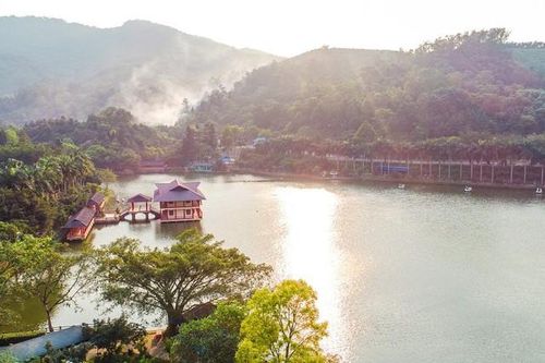 Cty Ao Vua nộp 2,44 tỷ khắc phục sai phạm quản lý, kinh doanh 'mảng miếng' gì?