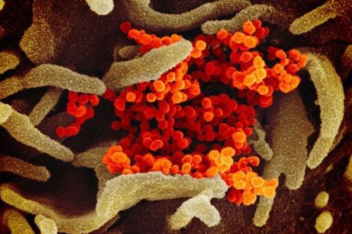 Cập nhật 7h ngày 19/2: Số người tử vong do virus corona vượt 2.000, Việt Nam cách ly 34 trường hợp nghi nhiễm