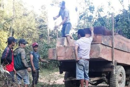 Gia Lai: Khởi tố đối tượng đánh 2 cán bộ kiểm lâm bị thương