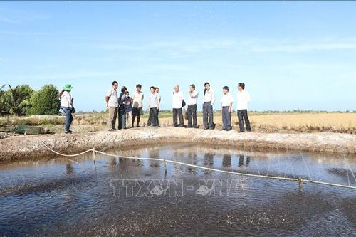 Hạn, mặn khốc liệt tại Cà Mau - Bài cuối: Dốc toàn lực ứng phó