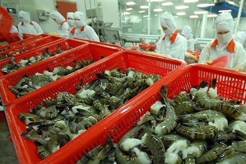 Thuế xuất khẩu tôm sang EU sẽ giảm mạnh