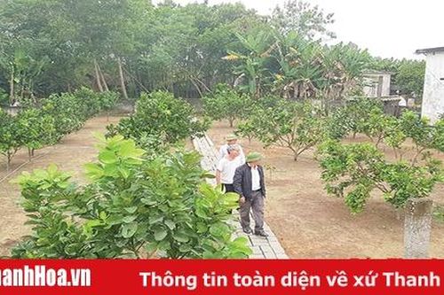 Những mô hình kiểu mẫu theo Di huấn của Chủ tịch Hồ Chí Minh