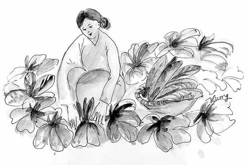 Vườn rau của mẹ