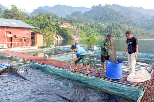 Xây dựng mỗi xã một sản phẩm ở Na Hang: Phát huy thế mạnh của địa phương