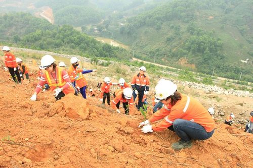 Phủ xanh thêm 0,5ha đất trống
