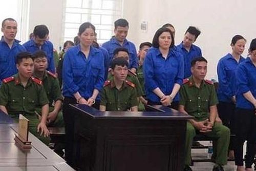 Buôn cả ma túy 'đông trùng hạ thảo' vào Sài Gòn, 10 bị cáo lãnh án tử hình