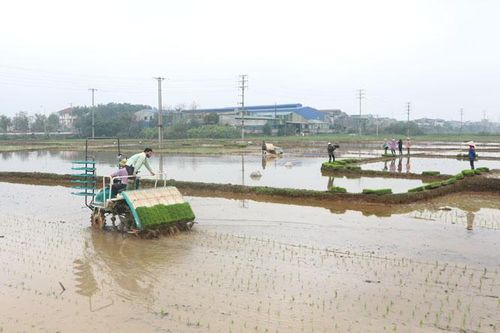 Khẩn trương lấy nước, gieo cấy vụ xuân