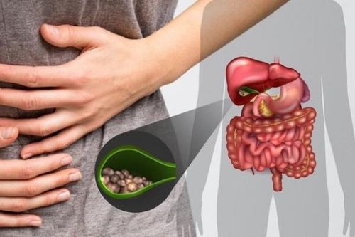Chữa trị sỏi túi mật