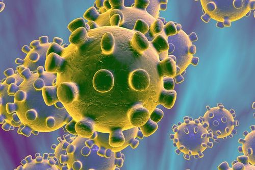 Tái tạo được 'tay bám' của virus corona, bước đột phá để chế vắc-xin