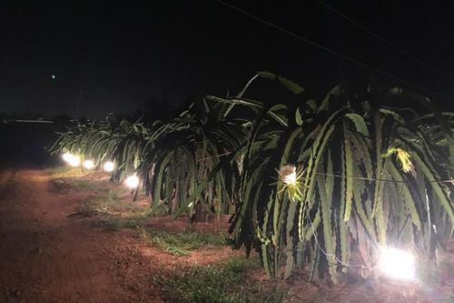 Trong biến cố mới thấy vợ mình giỏi giang