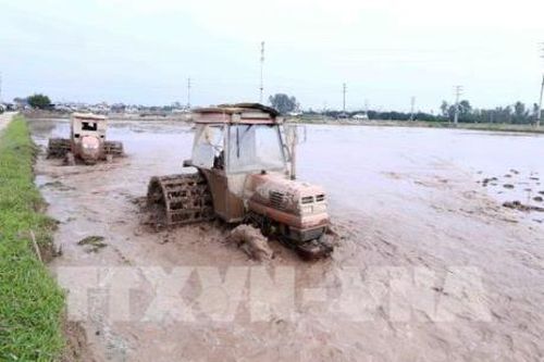 Hà Nội sẽ hoàn thành việc lấy nước gieo cấy vụ Đông Xuân trong đợt 3