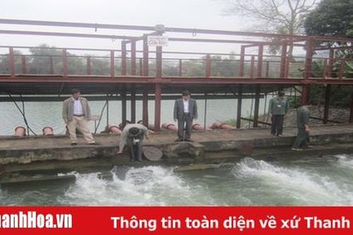 Hậu Lộc: Chủ động khắc phục tình trạng nhiễm mặn, phục vụ nước tưới cho sản xuất nông nghiệp