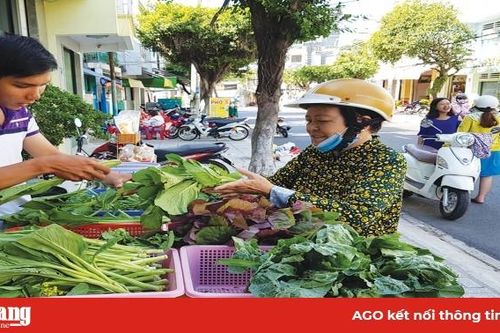 Giải bài toán nông sản