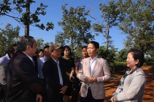 Bộ trưởng Công thương làm việc với lãnh đạo tỉnh Gia Lai về phát triển năng lượng tái tạo
