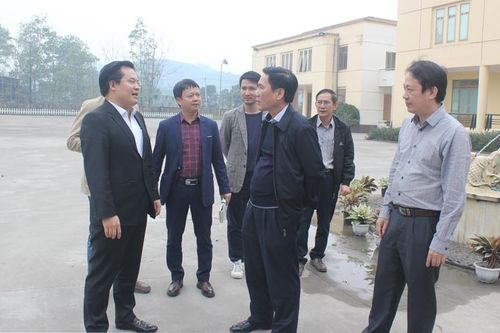 Đồng chí Chủ tịch UBND tỉnh thăm, động viên các nhà máy sản xuất xi măng