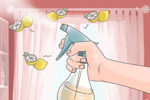 Diệt trừ nấm mốc trong nhà
