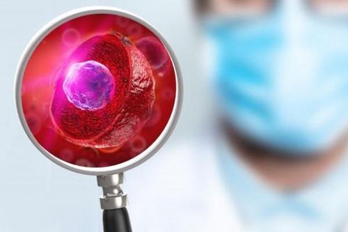 Tăng cường hệ miễn dịch theo phương pháp Nhật Bản