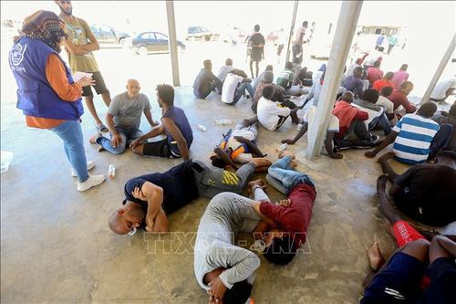 IOM kêu gọi bảo vệ người Libya di cư