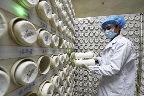 Thuốc chữa HIV và Ebola cho kết quả điều trị Covid-19 vào tháng 3