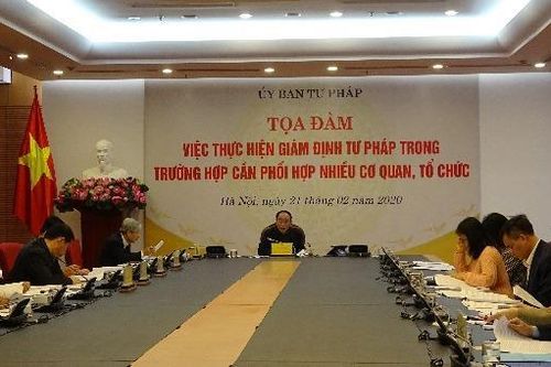 Khó 'tách', 'nhập' giám định án tham nhũng