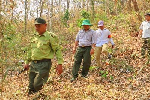 Hàng ngàn hecta rừng vùng Bảy Núi (An Giang) đứng trước nguy cơ cháy lớn