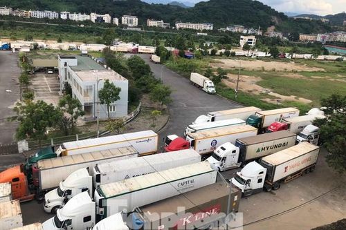 Cách ly dịch Covid-19, lái xe tố bị thu tiền triệu phí trông xe